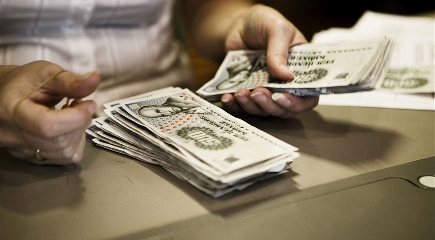 Billedet viser hnderne p en person, som er ved at tlle pengesedler.